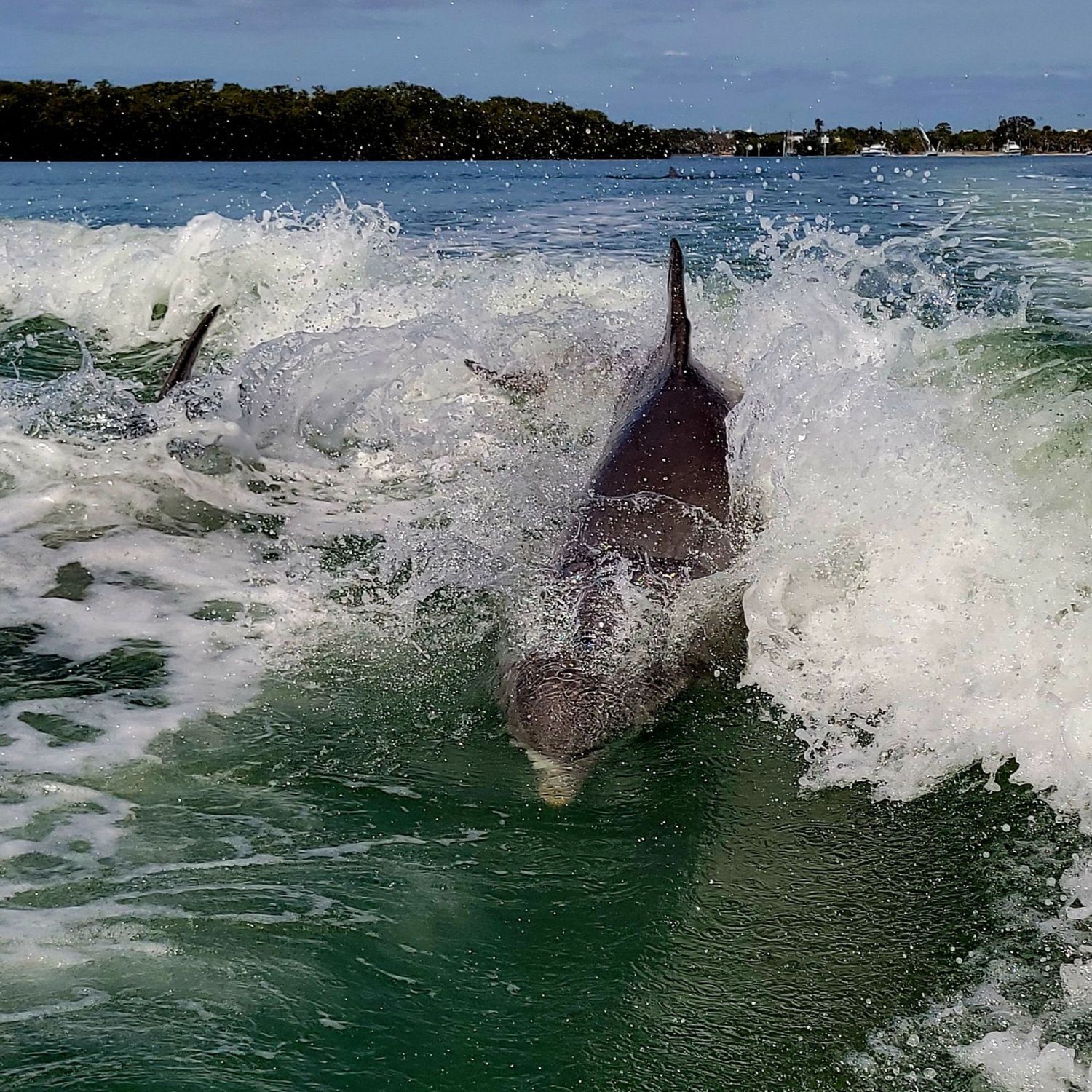 Untitled design - 2026-03-17T142651.231