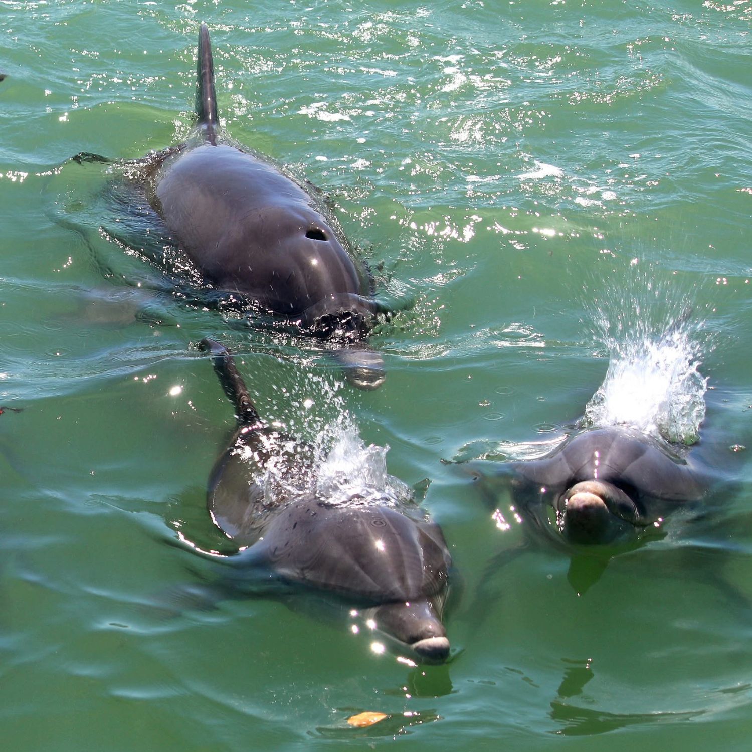 Untitled design - 2026-03-17T143036.169