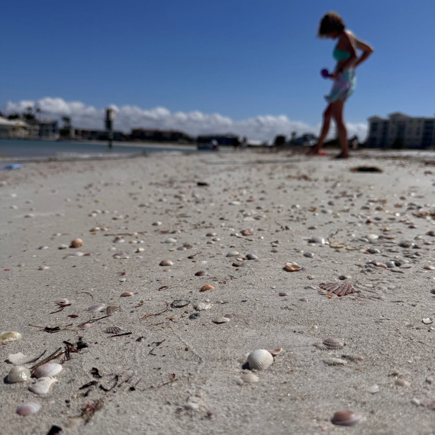 Untitled design - 2026-03-17T145041.227