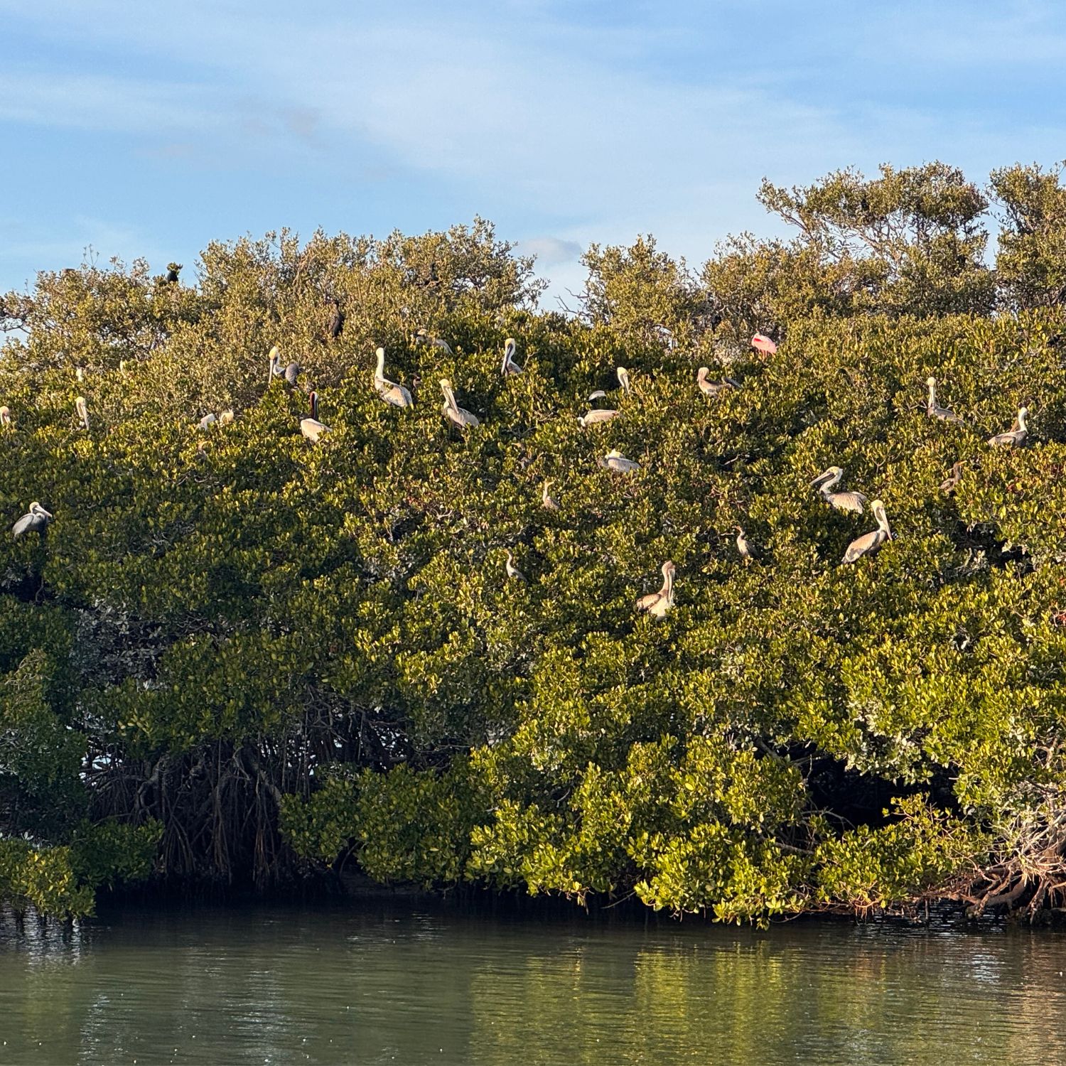 Untitled design - 2026-03-17T145401.284