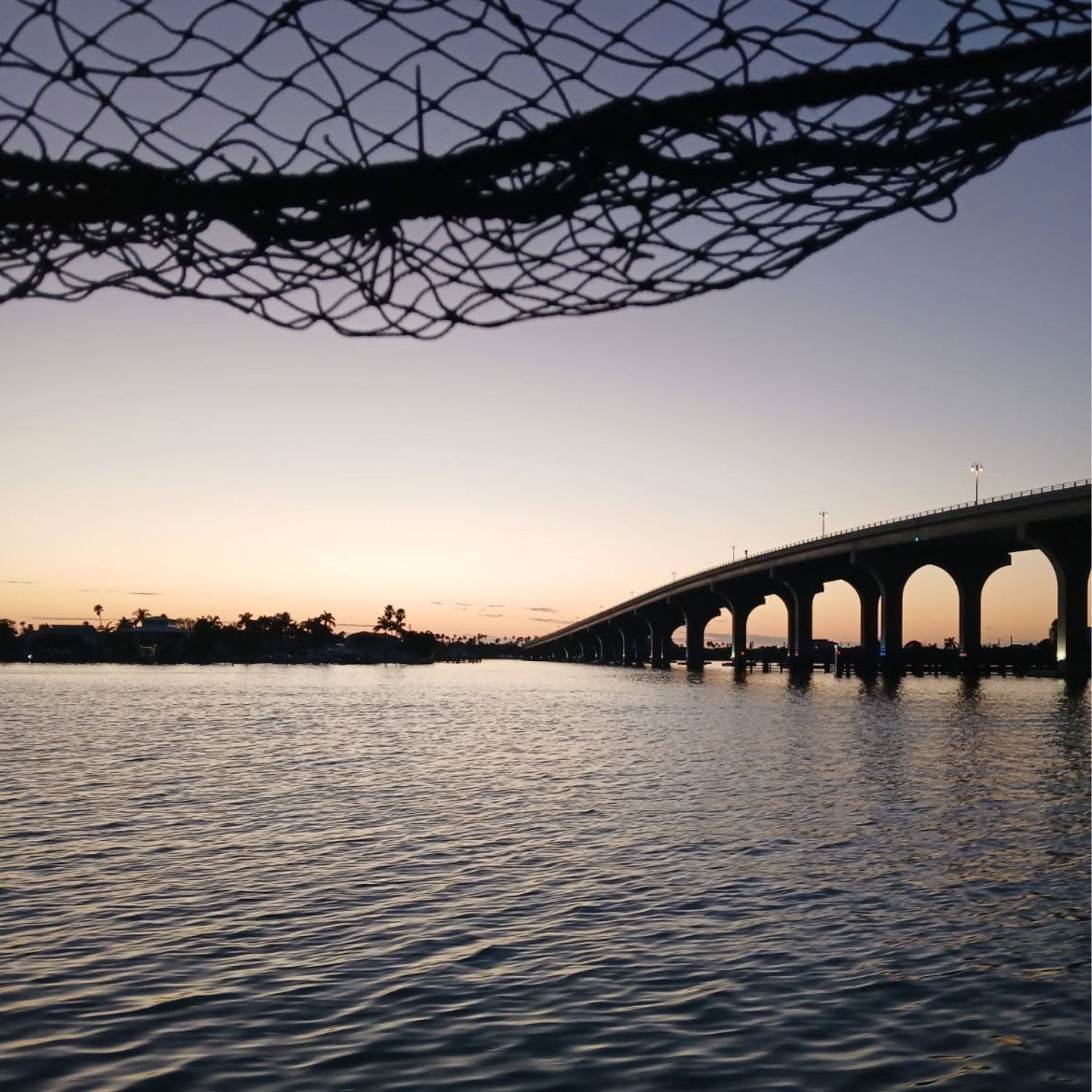 Untitled design - 2026-03-17T145545.207